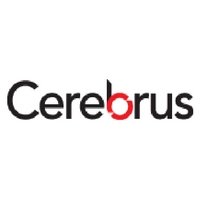 Cerebrus Consultants